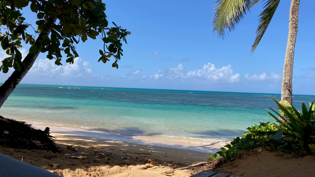 2023-10 Nia Dance-The-Joy Urlaub mit Monika, Thesi, Karina und Annemarie