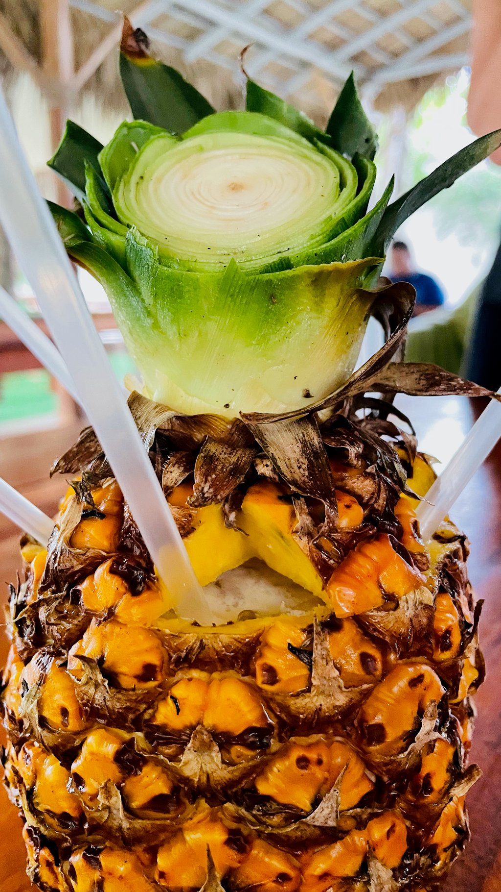 2023-10 Nia Dance-The-Joy Urlaub mit Monika, Thesi, Karina und Annemarie