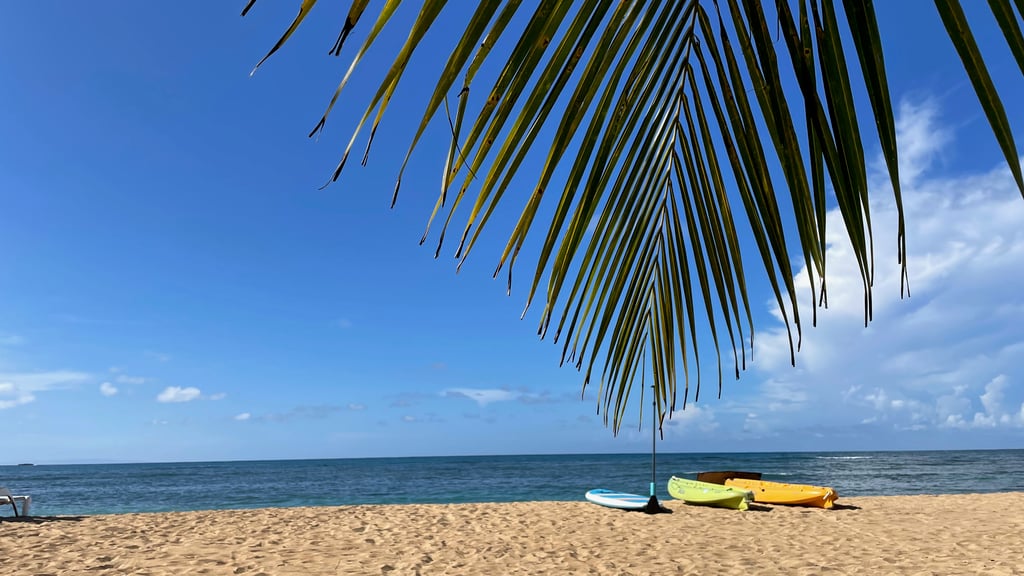 2023-10 Nia Dance-The-Joy Urlaub mit Monika, Thesi, Karina und Annemarie