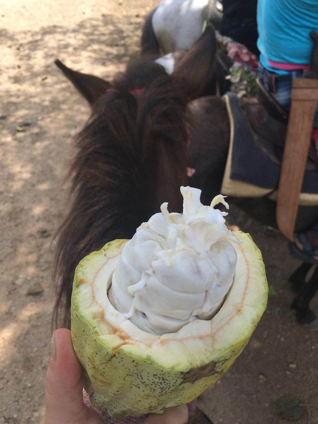 Dance the Joy - Las Terrenas Urlaub - DomRep - Gabriele Schlick