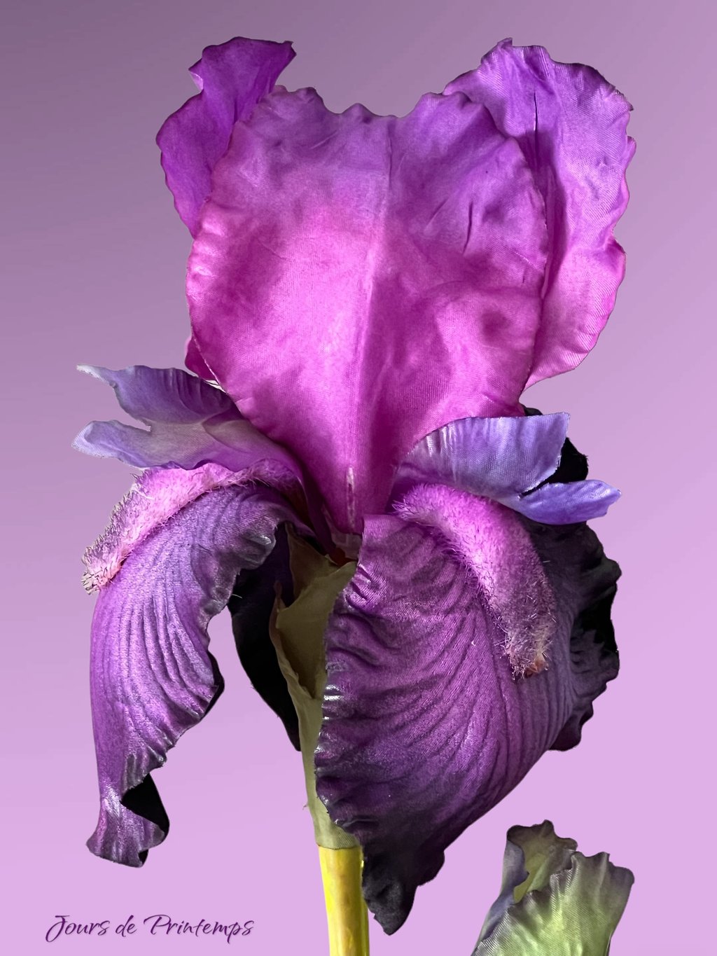 Iris Artificiel Haut de Gamme