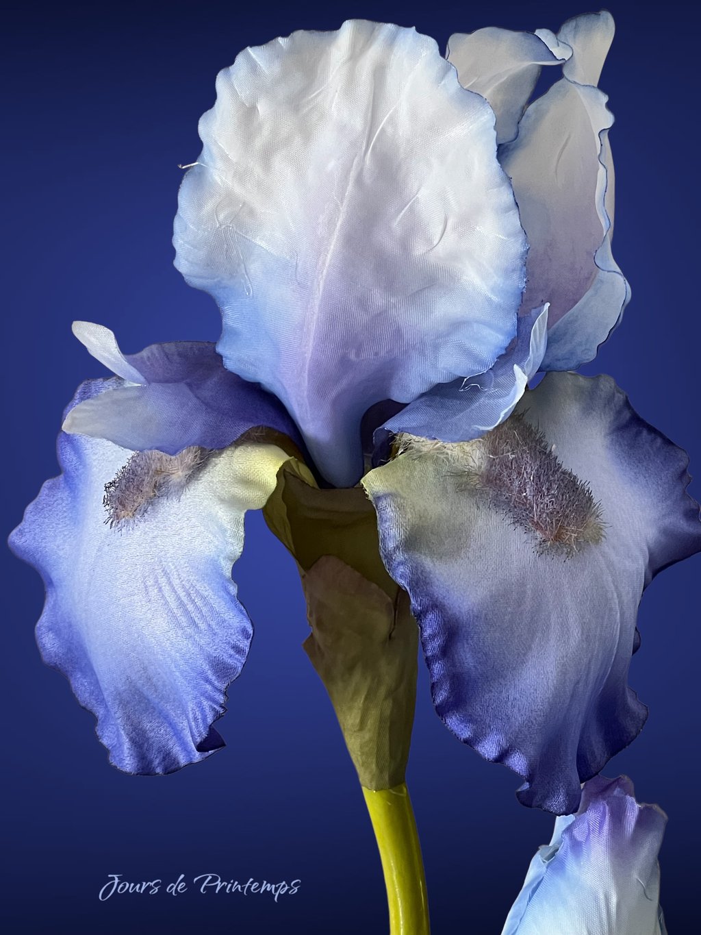 Iris Artificiel Haut de Gamme