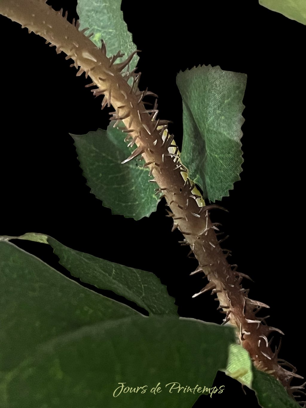 Rose artificielle haut de Gamme