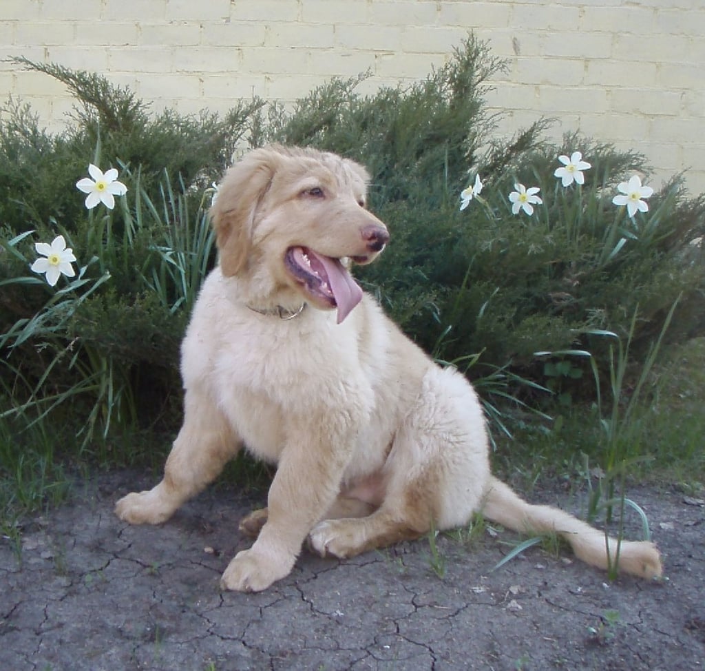 Blumenkind Birdy/ Benjamin