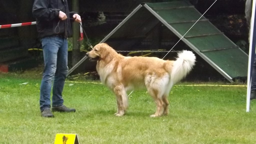 Booker Bleik in Position