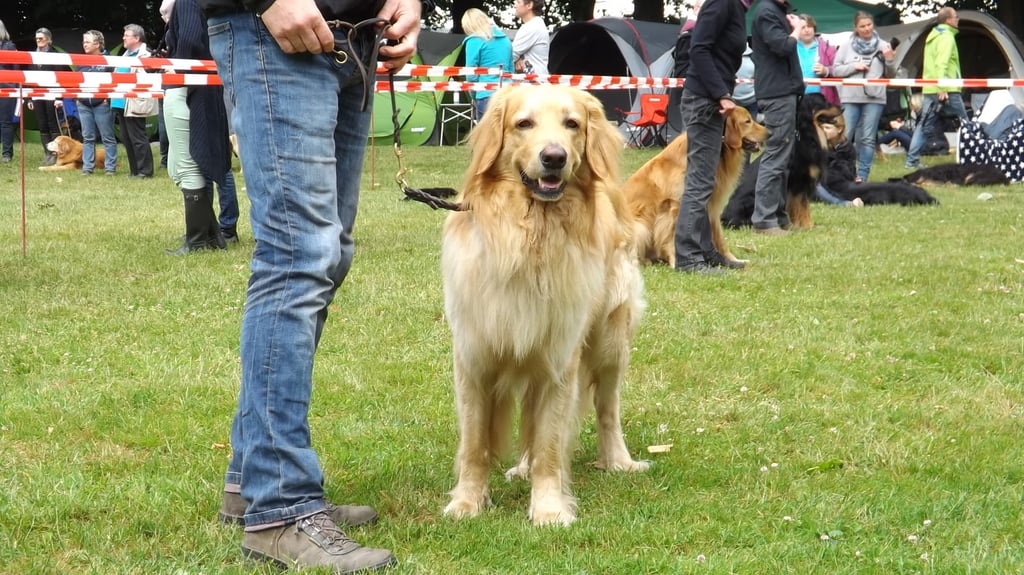 Haltern ist immer wieder einen Wochenendausflug wert!