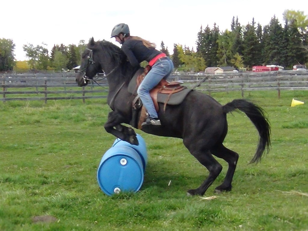 Blain Revelstoke Yoho