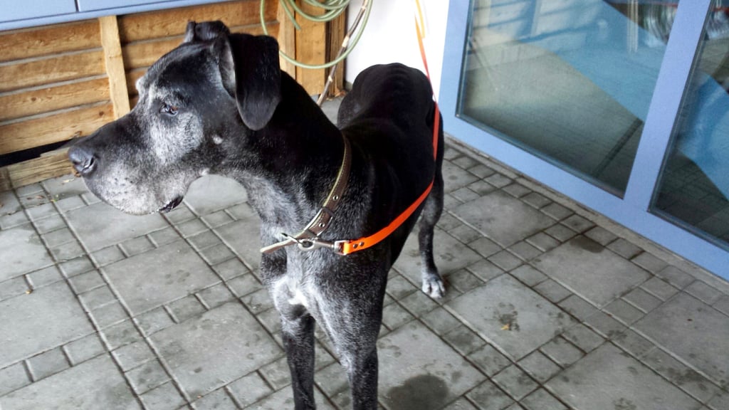 Ein grosser Teil der grossen weiten Welt: Paul