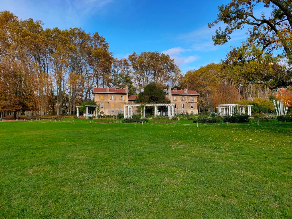 Photo prise par realme 5 Pro