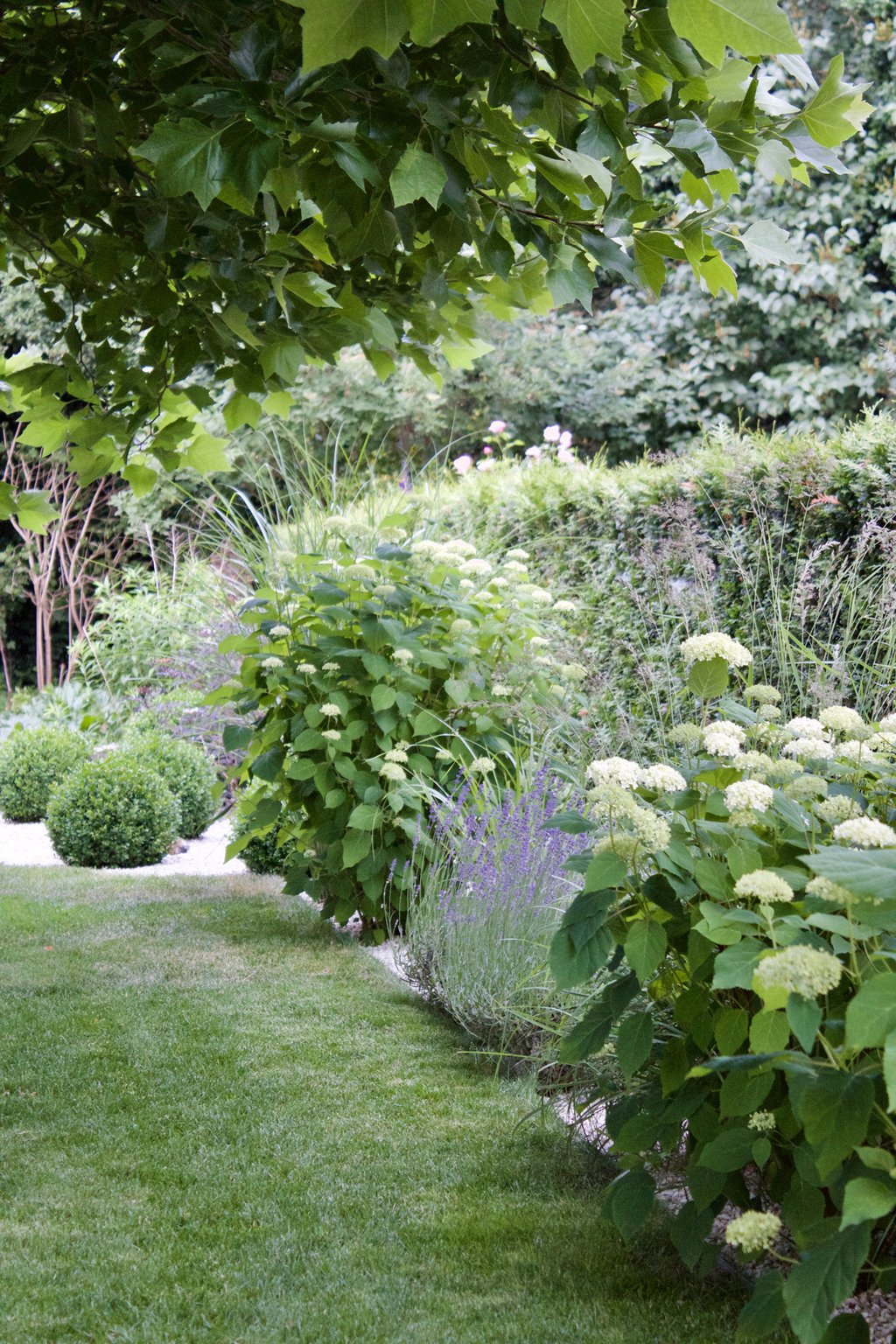 dieartigeGARTEN - Sommergarten mit Buchs, Ballhortensien, Lavendel, Gräsern