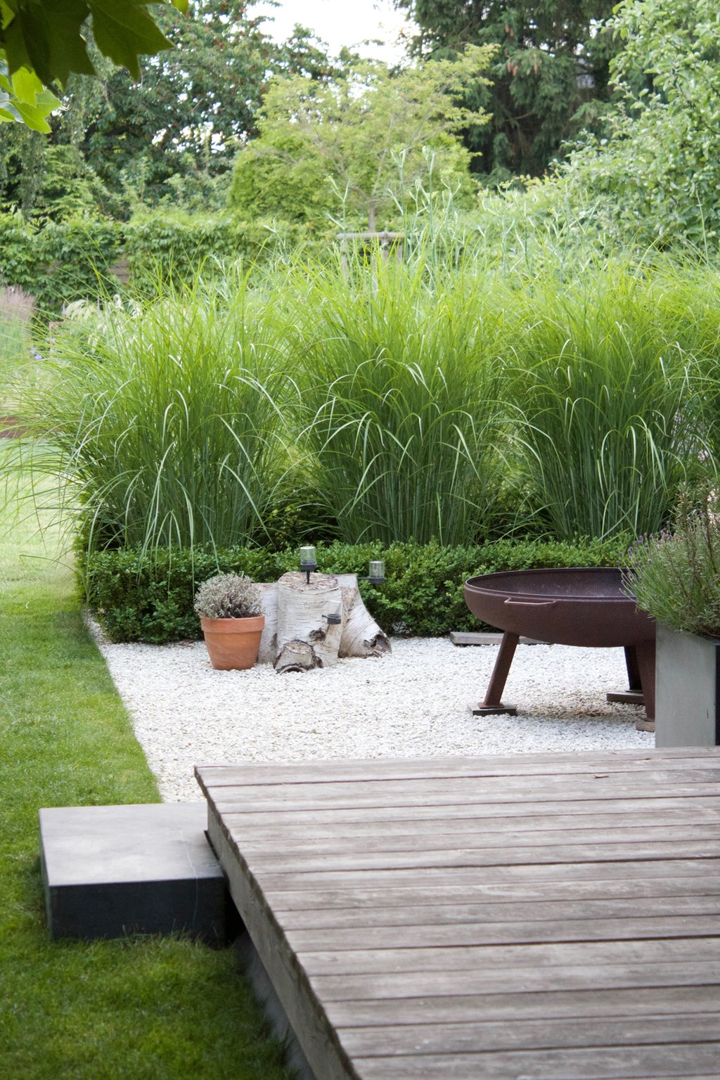 dieartigeGARTEN - Sommerterrasse hinter Chinaschilf |  Kiesterrasse, Holzdeck, Feuerschale
