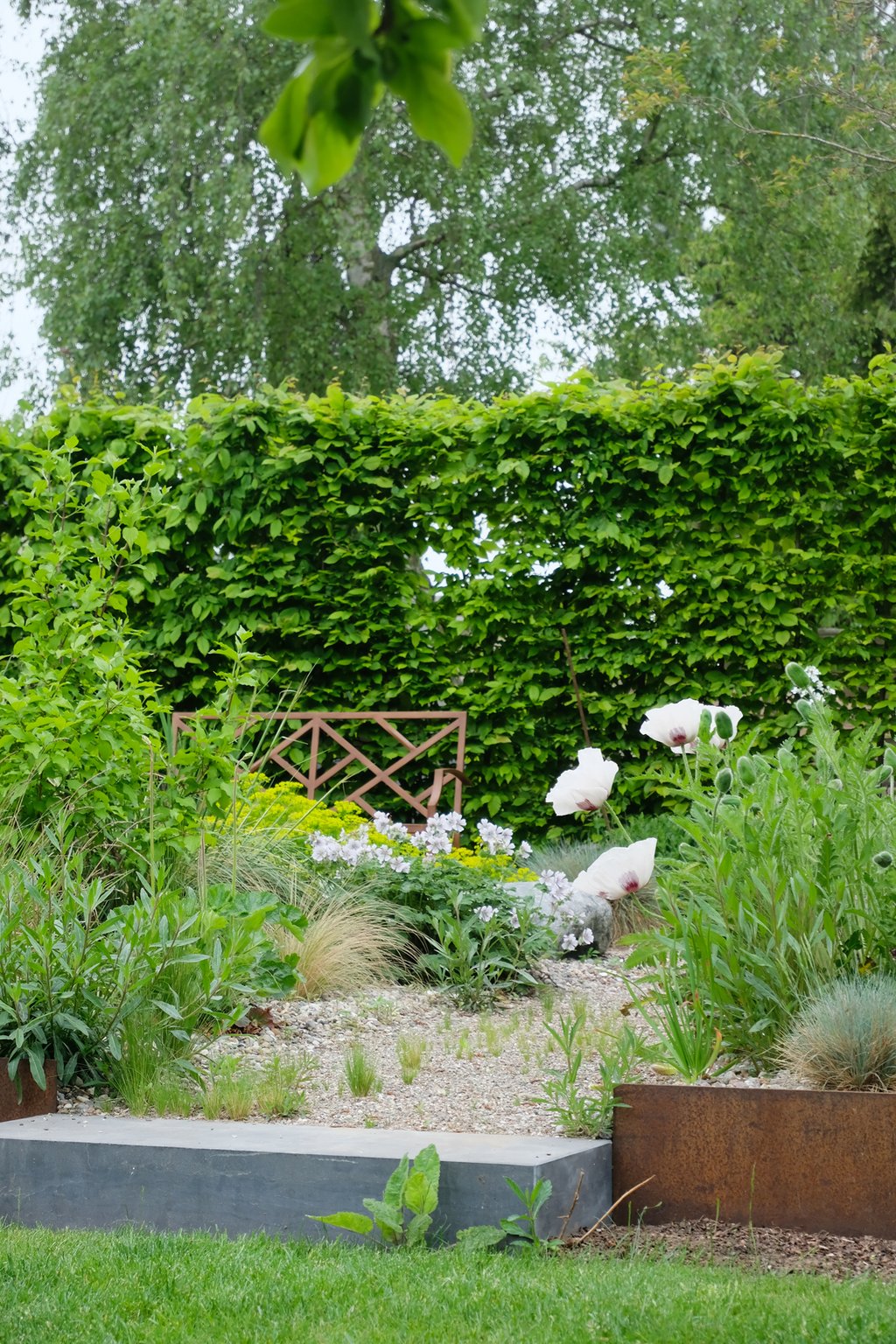 dieartigeGARTEN - Federgras-Aussaat im Steppengarten + Rost-Töne