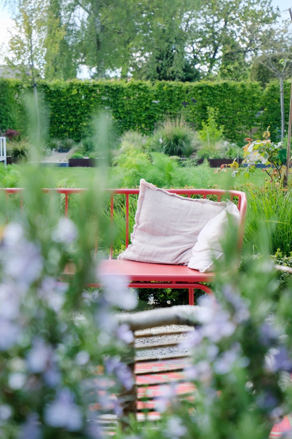dieartigeGARTEN - Rot, als fröhlicher Eyecatcher auf der Kies-Terrasse | im Vordergrund: Rosmarinblüte