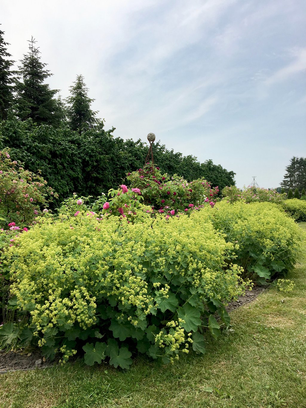 dieartigeBLOG - Offene Gärten MV 2018, 