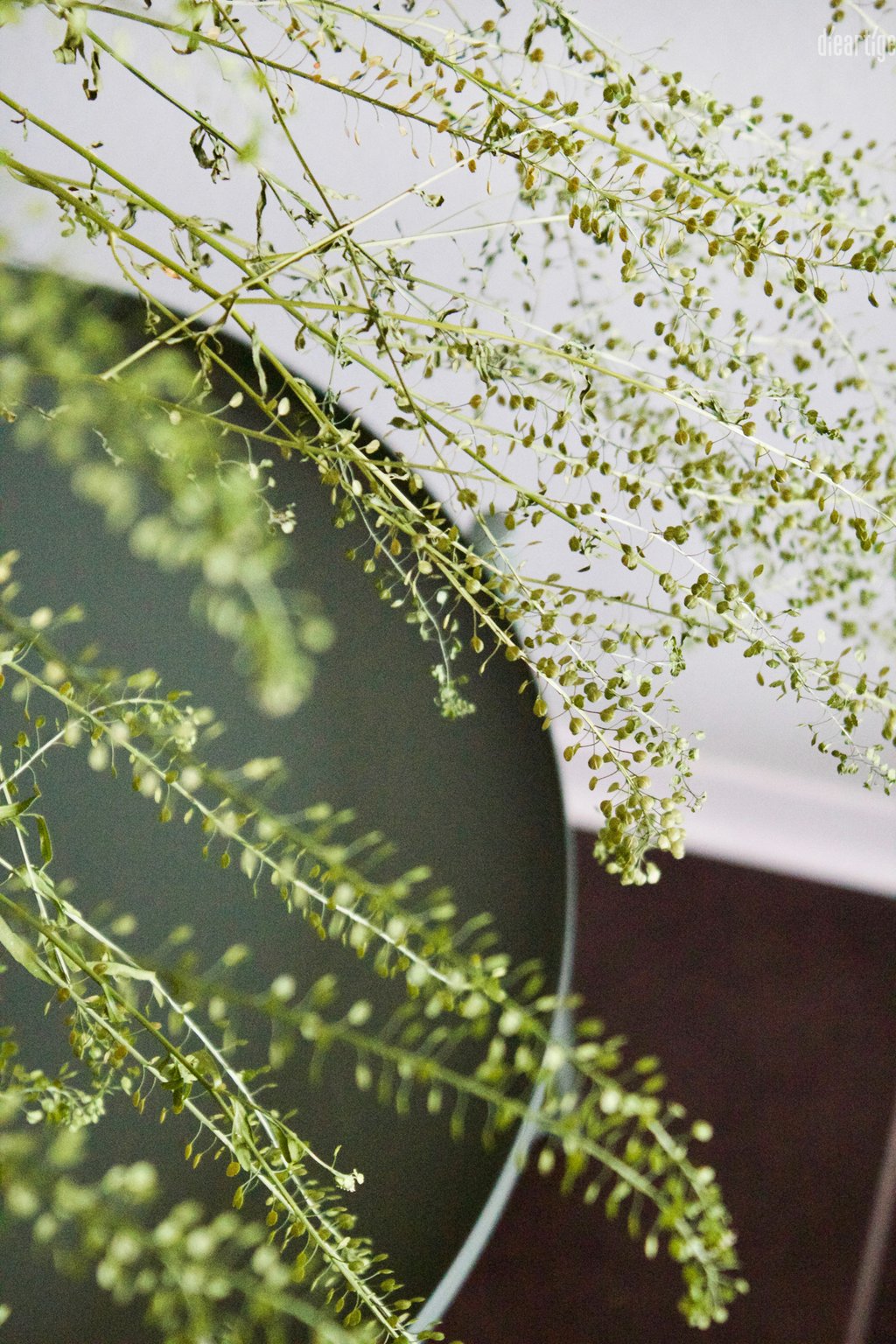 dieartige - Praxisgestaltung, Physiotherapie | Wartebereich, Detail, Greenery