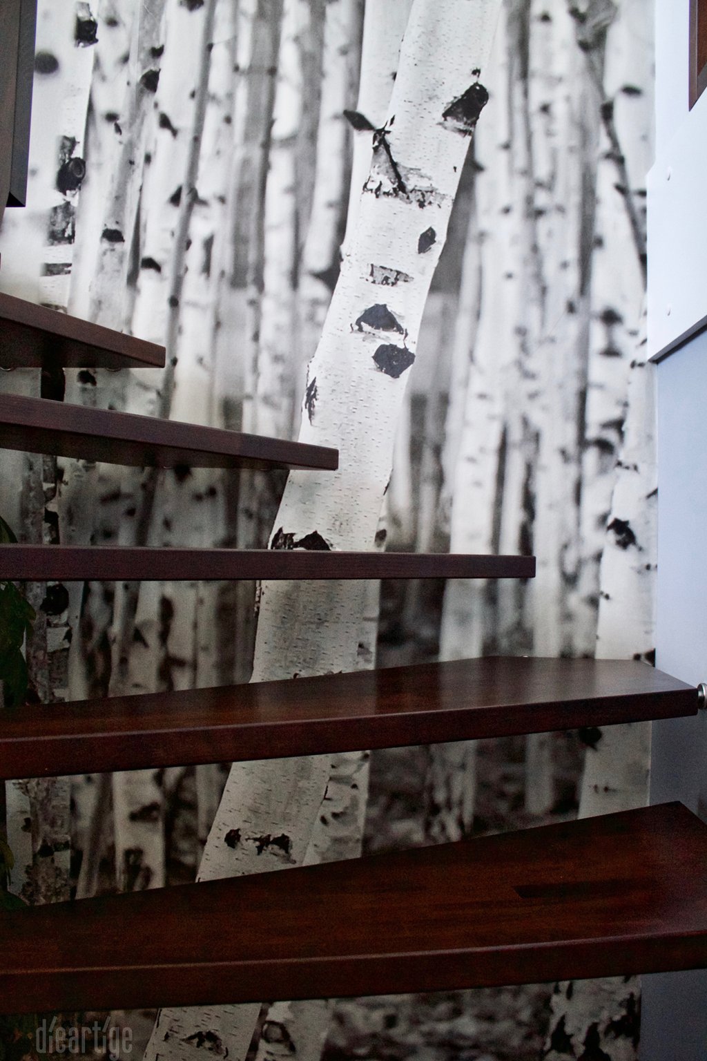 Fam. Z. | Detail Treppe | Fototapete Birkenmotiv | Graue Wand