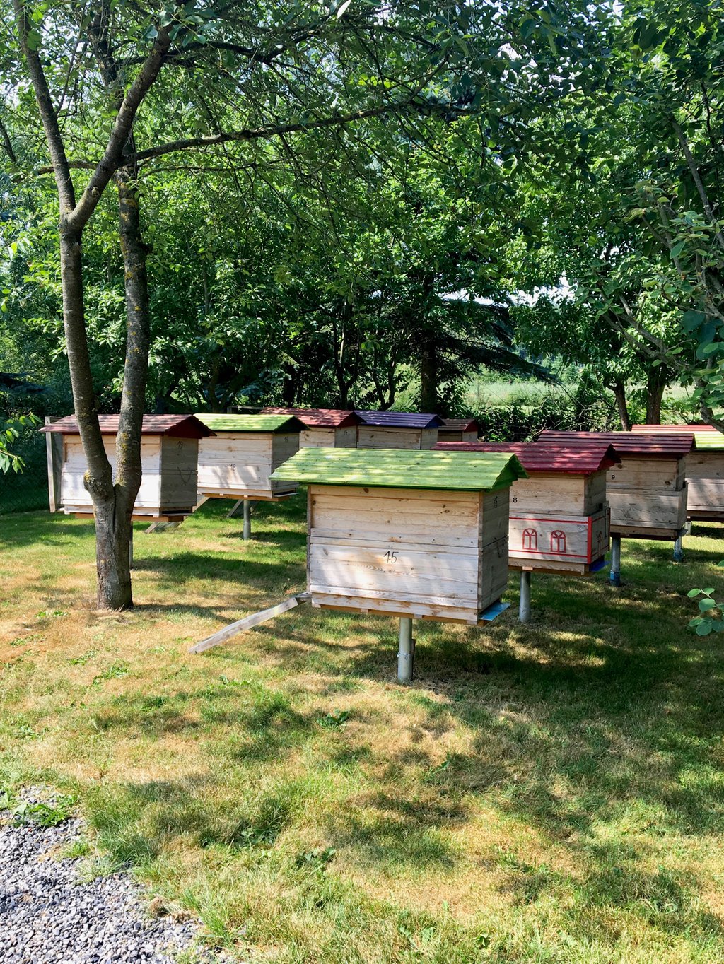 dieartigeBLOG - Offene Gärten MV 2018, 