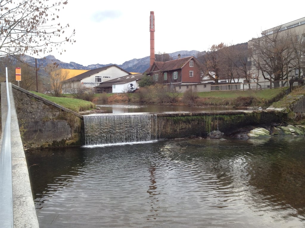 Sitter beim Brauereiwuhr am 17.11.2015