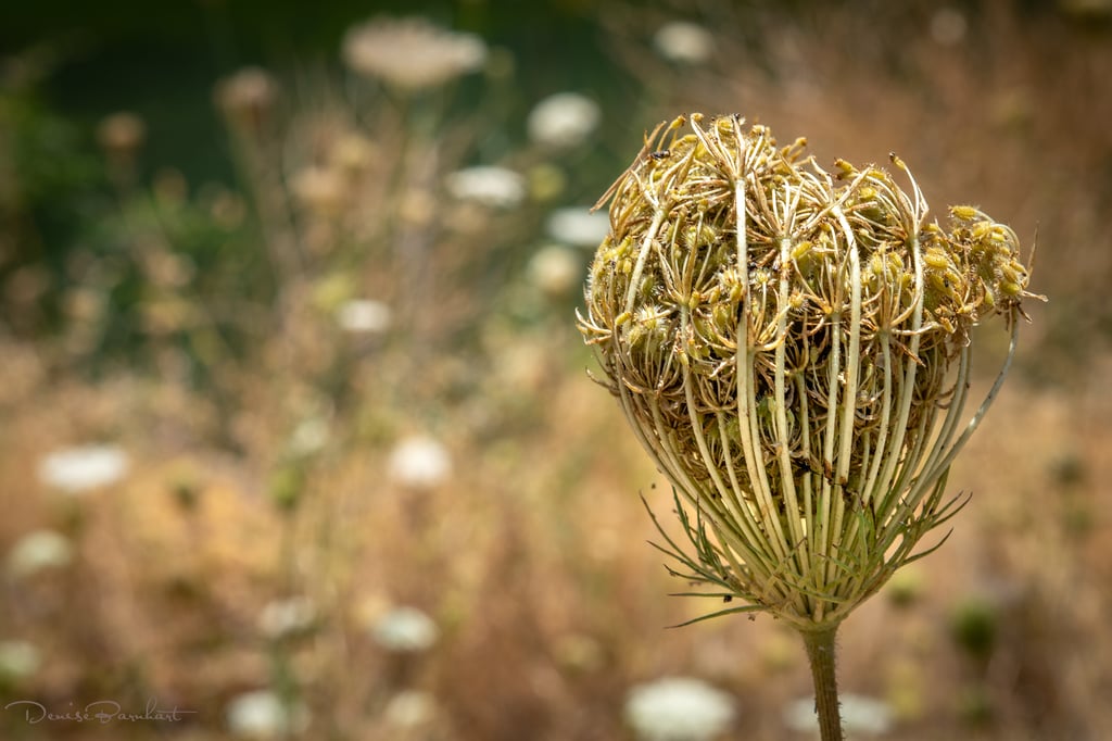 I can't get next to you