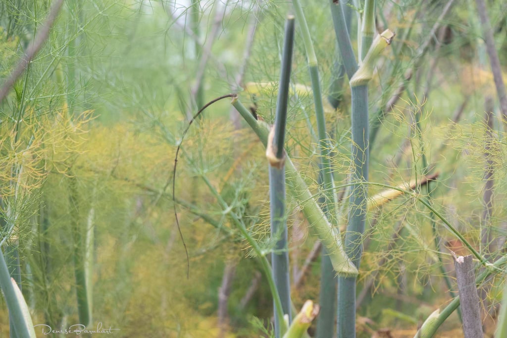 You can finally meet my mom