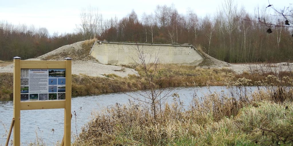 Uferschwalbenwand - jährlich verlassen ca. 600 Jungvögel die Brutwand