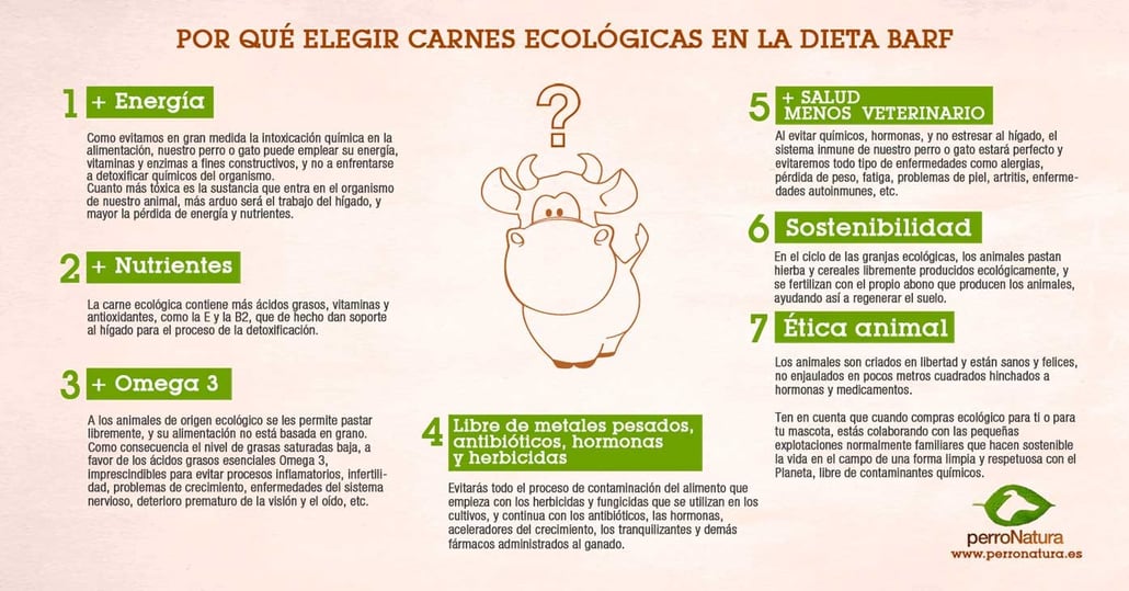 Dieta BARF ecológica