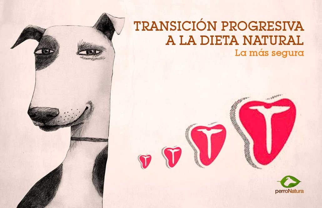 paso a la dieta BARF progresivo