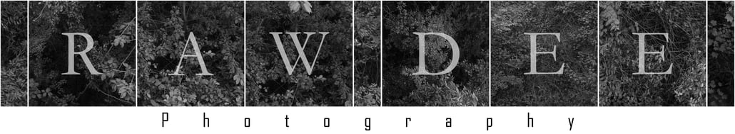 De website van rawdee!