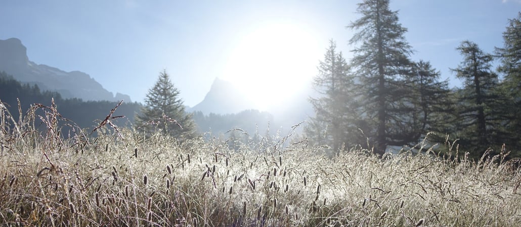 Divine Integration Retreat