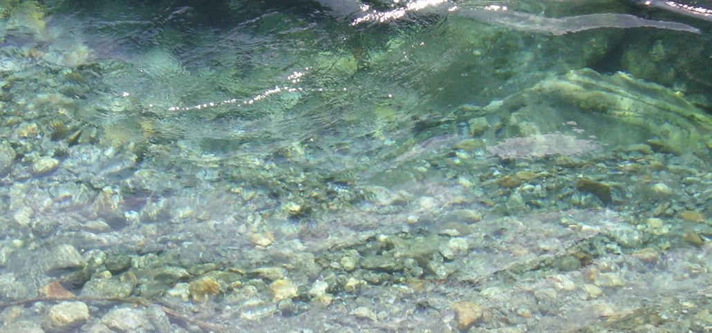 Brunhild Hofmann - Psych-K Feedback. PSYCH-K Workshop Erfahrungen. PSYCH-K Workshop Erfahrungen mit Bruce Lipton.