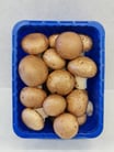 Cremechampignons 300g "NL"