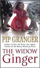 The Window Ginger by Pip Granger
