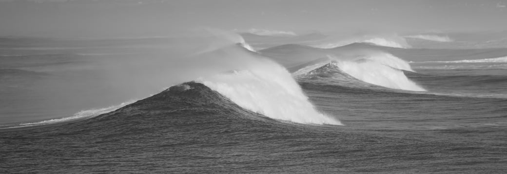 True Leadership für erfolgreiche Unternehmen: Leadership Entwicklung auf neuem Niveau, mit Sitz in Zürich.