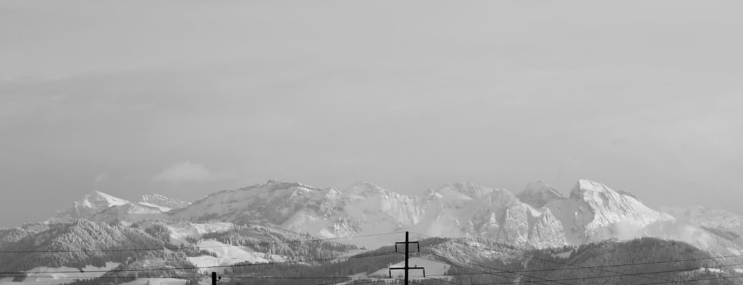 True Leadership: das nächste Niveau der Führungsentwicklung. Leadership Experte und Coach mit Sitz in Zürich.