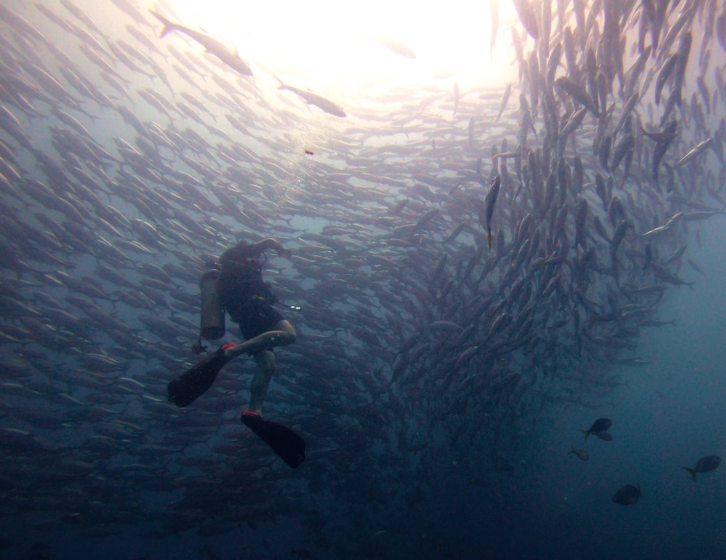 Photograph by Morgan Blair