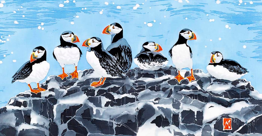 Farne Island puffin fine art seaside bird print twitcher birder print 