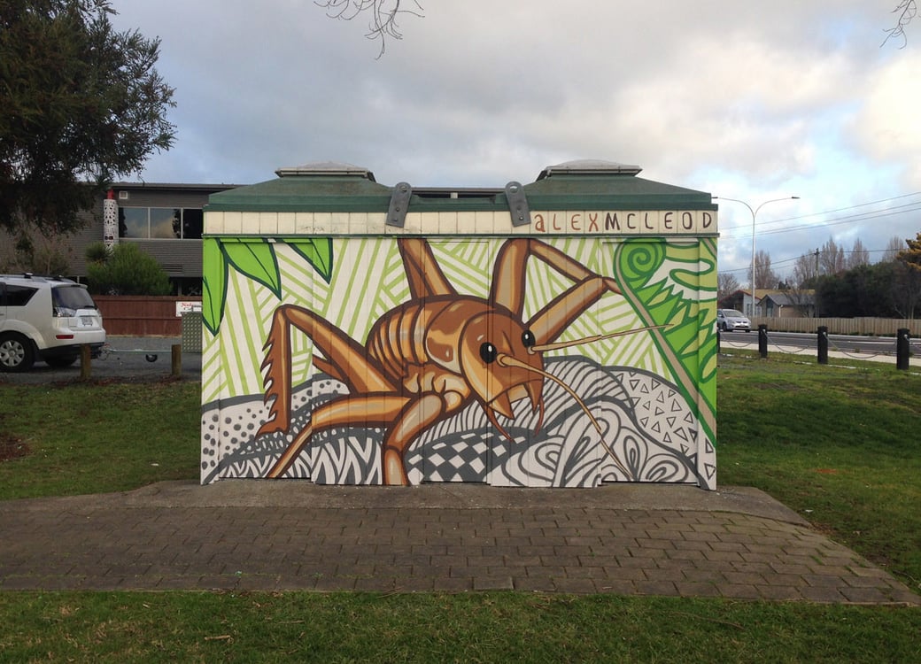 brush and spray paint, New Zealand 