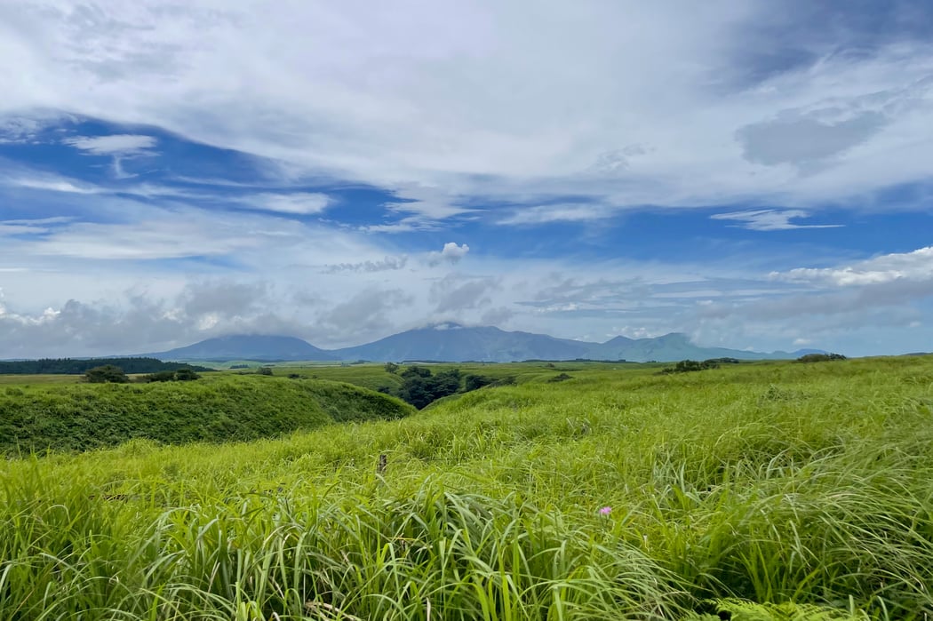よる森＠阿蘇〜毎年緑がよみがえる草原