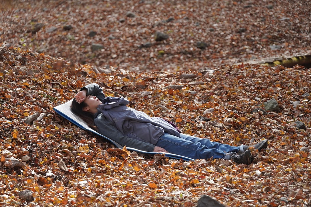 落ち葉に横たわり自然と自分を感じる〜森の一人時間