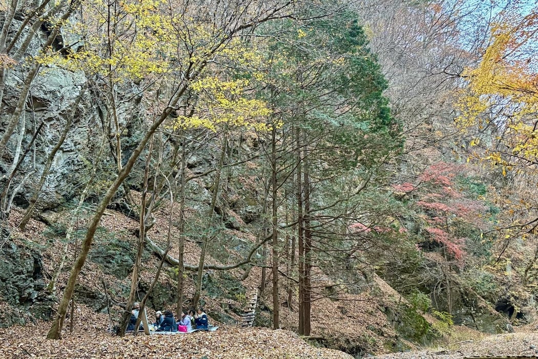 森の中で感じたことを分かち合う森の対話