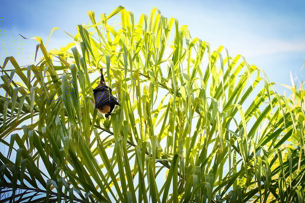 Strandtrauung Seychellen