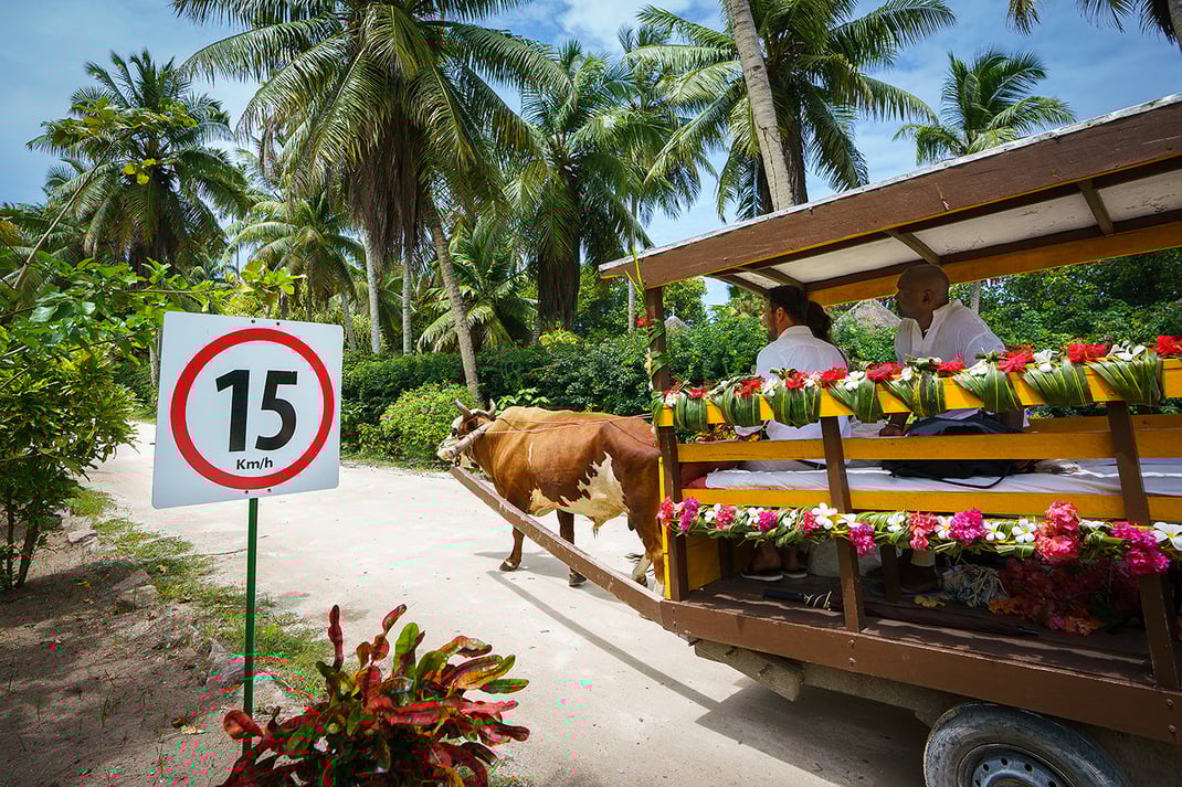 Strandhochzeit Seychellen