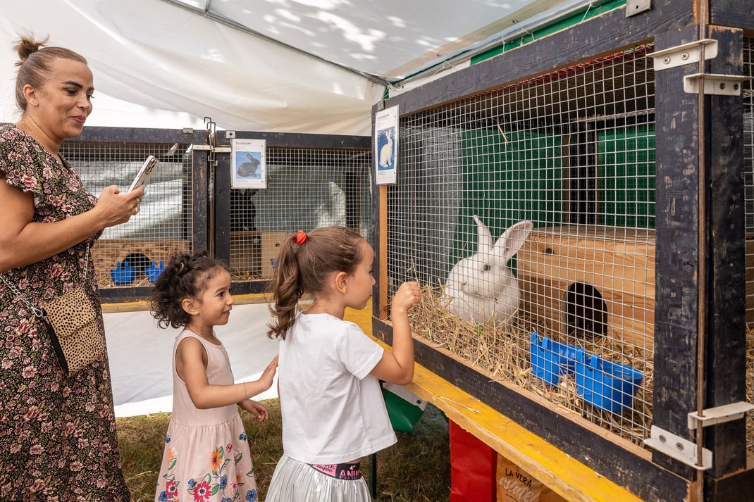 auviso feierte ihren 20 Geburtstag, da wo Alles begann: im KKL