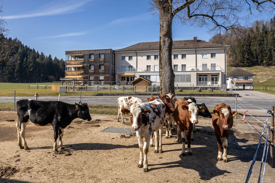 Pflegezentrum Heim Breiten