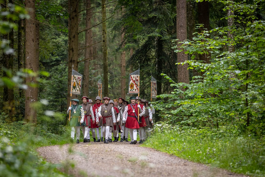 Eine unerschrockene Truppe Karnöffler zieht still und stolz durch den feuchten Wald