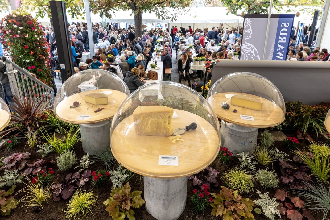 Unter der Käseglocke: Preisverleihung SwissCheeseAwards 2018 am Schweizerhofquai in Luzern (Swiss Cheese Festival 2018 mit Käsemarkt).
