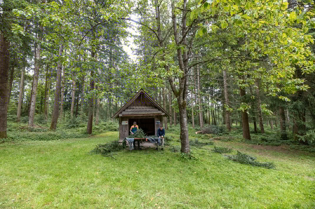 Claudio Zuccolini und Nik Hartmann mitsamt TV-Crew an der Arbeit im Gulpwald Willisau