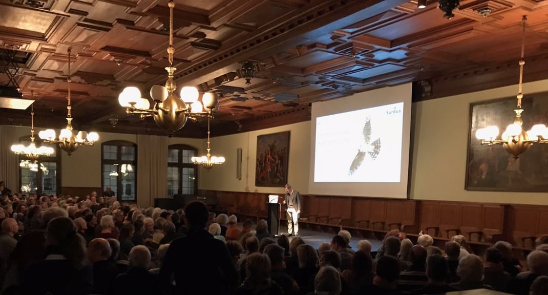 Ornithologische Highlights 2019 - erstmals in der Rathauslaube (Foto: Pascal Parodi)