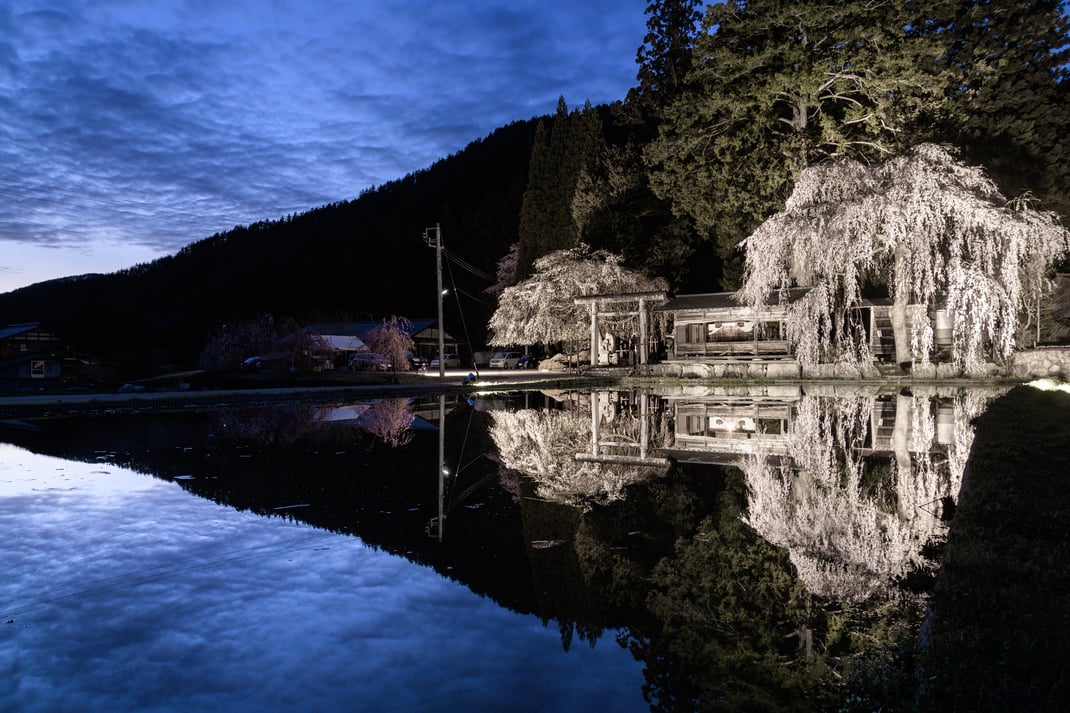 写真提供：伊藤達紀様