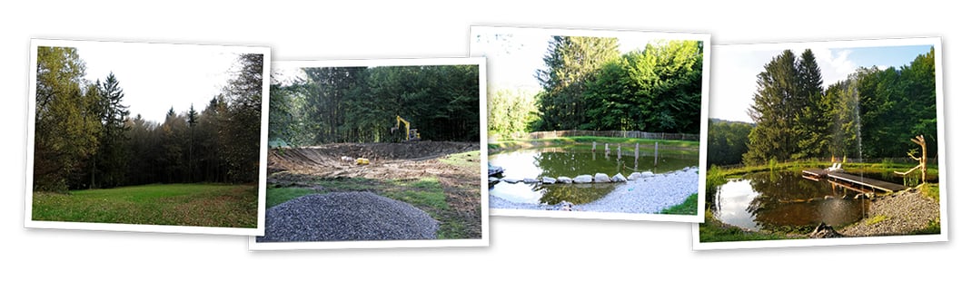 Wasserretentionsbecken und neuer Lebensraum